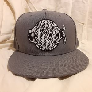 Phish hat, Gray Phish Flat Brim snapback hat